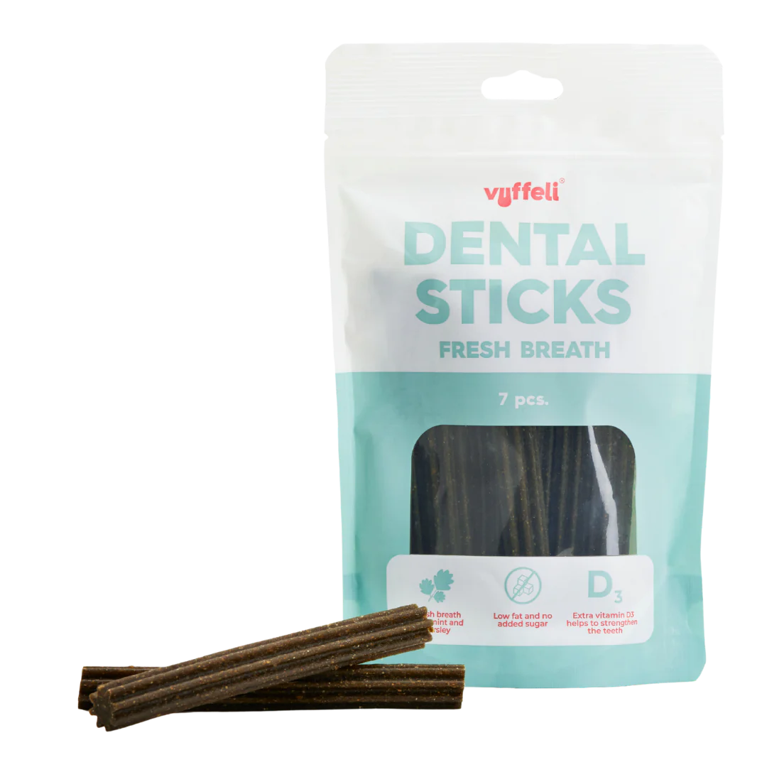 Dental Sticks - Fresh Breath