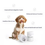 Tipaw - Digestive Probiotics