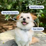 Tipaw - Eye Cleaner & Tear Stain Remover 100 ml