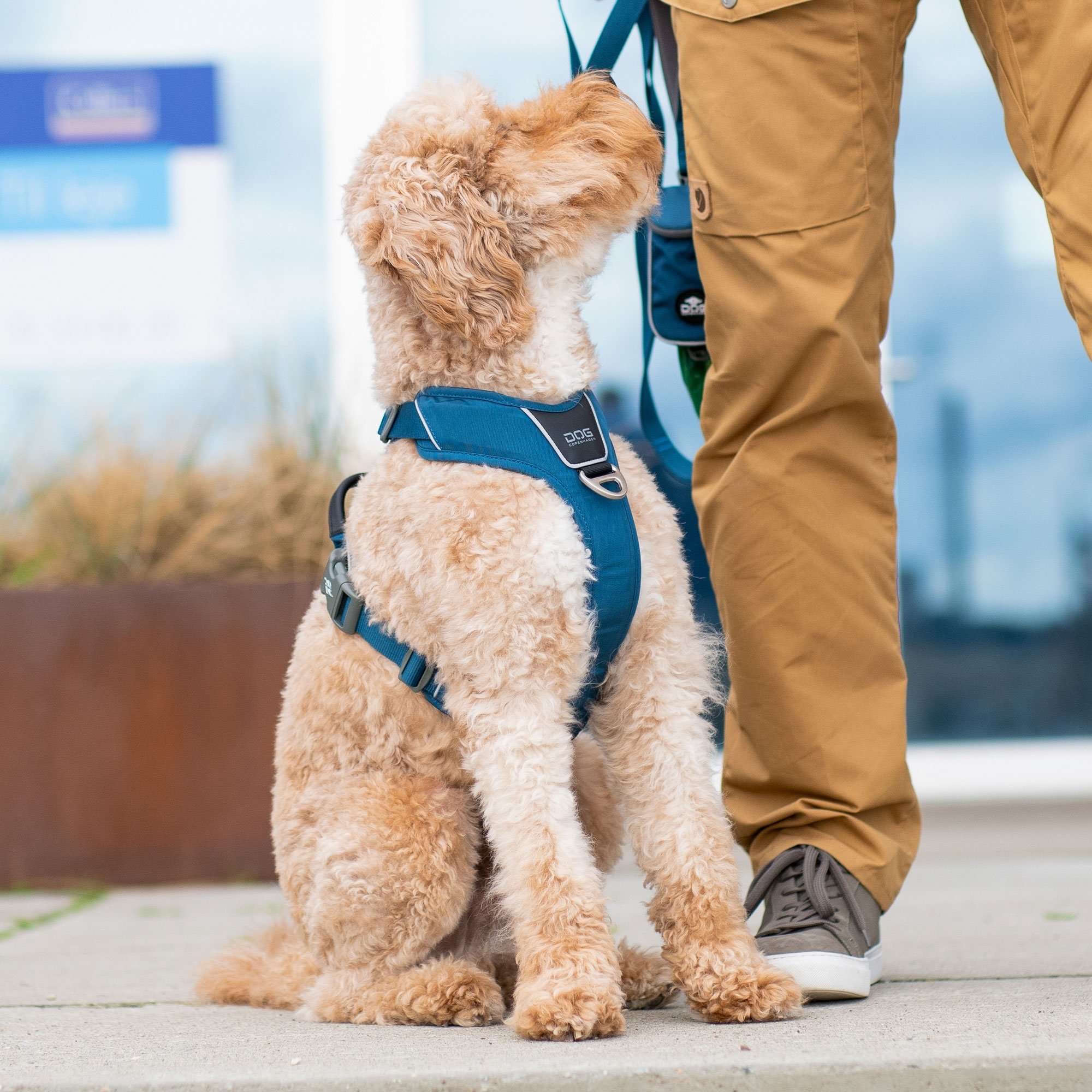 Comfort Walk Pro™ Hundareim