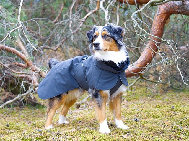 Paikka Visibility vinterfrakke