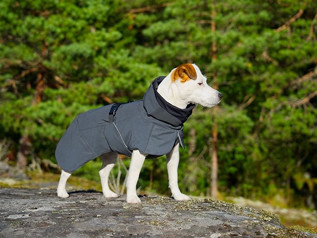 Paikka Visibility vinterfrakke