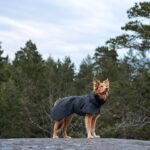Paikka Visibility vinterfrakke