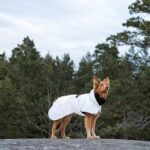Paikka Visibility vinterfrakke