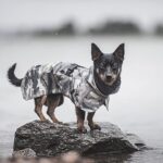 Paikka Recovery regnfrakke