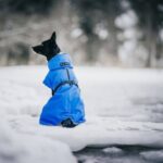 Paikka Recovery vinterfrakke