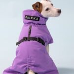 Paikka Recovery vinterfrakke