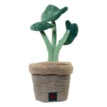 B&B Pawtanic® Garden