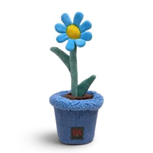 B&B Pawtanic® Garden Daisy