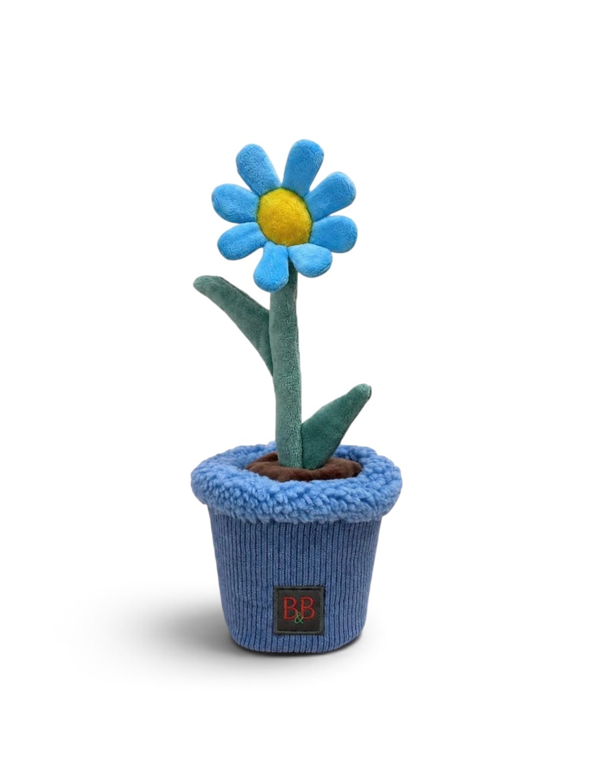 B&B Pawtanic® Garden Daisy