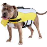Life Vest, Yellow