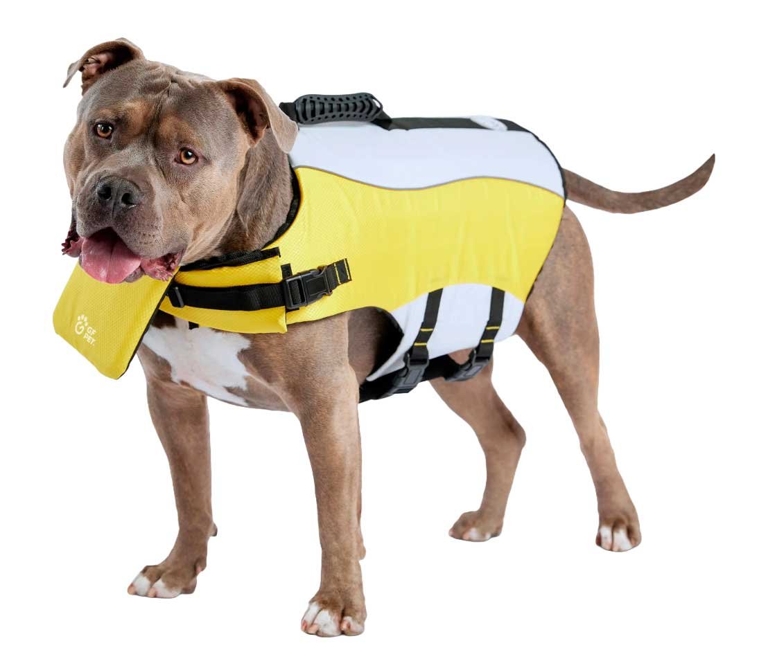 Life Vest, Yellow