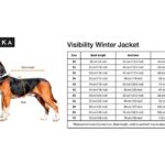 Paikka Visibility vinterfrakke